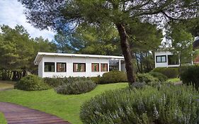 Ethra Reserve Alborea